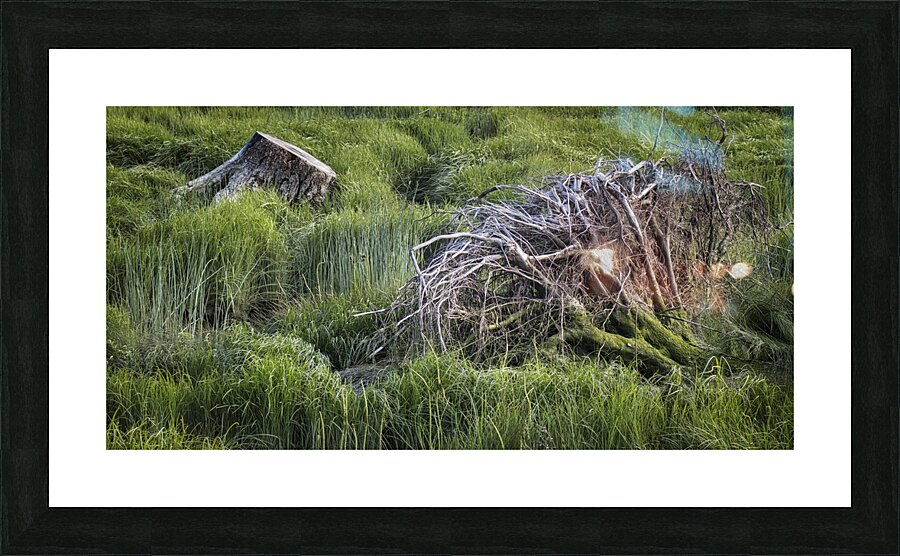 FS240611 02 Picture Frame print
