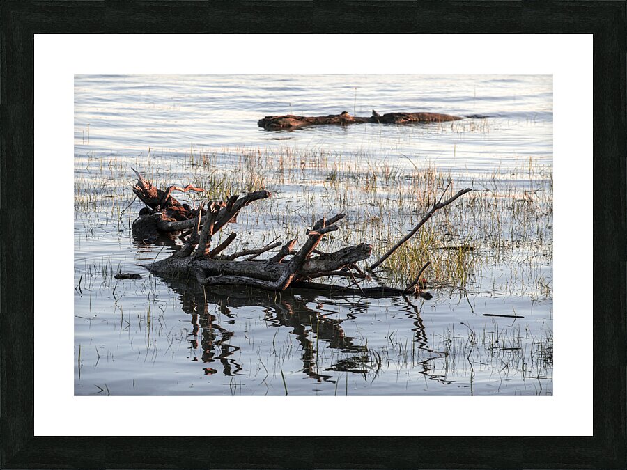 FS240606 198 Picture Frame print