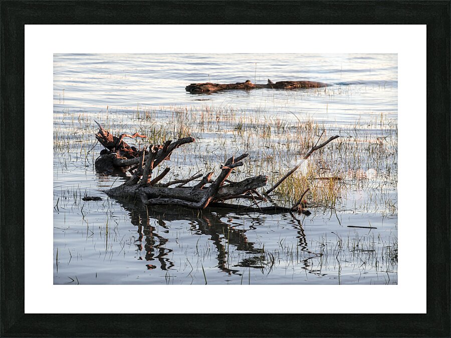 FS240606 198 Picture Frame print