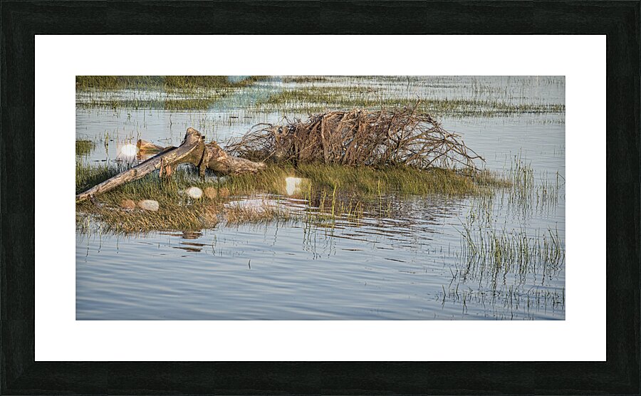 FS240605 160 Picture Frame print
