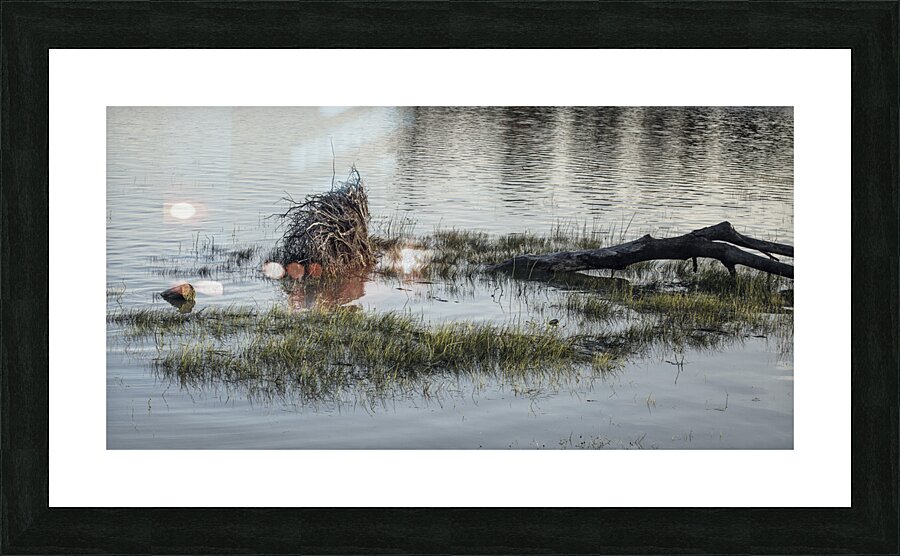 FS240605 147 Picture Frame print