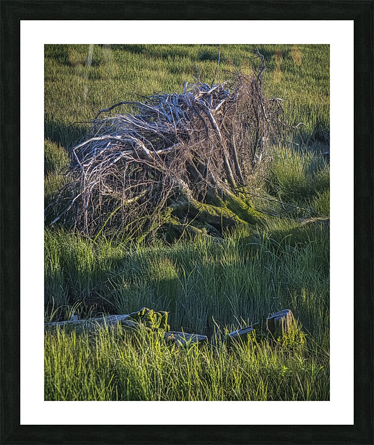 FS240518 436 Picture Frame print