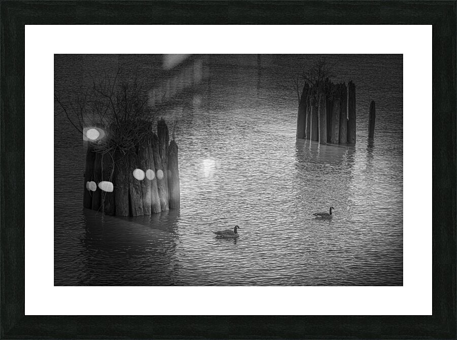 FS240305 TWIN Picture Frame print