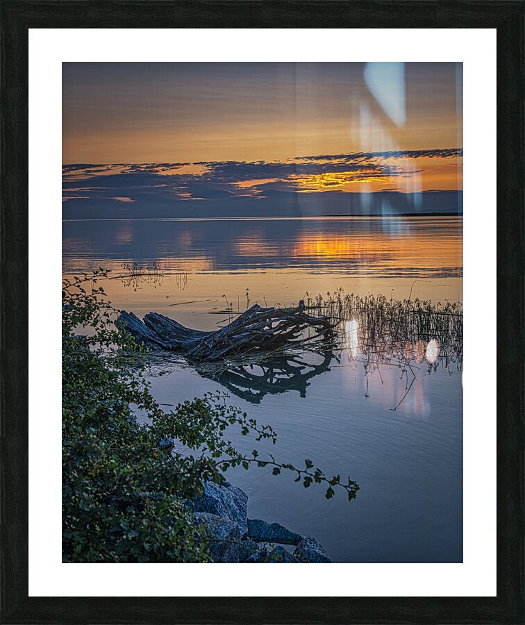 FS240723A2 Picture Frame print