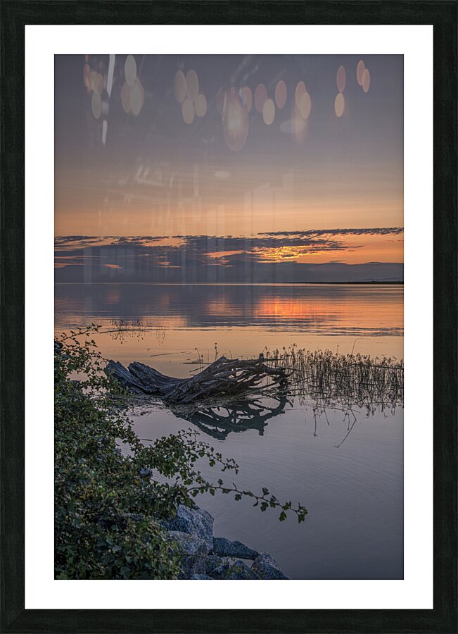 FS240723 11 Picture Frame print