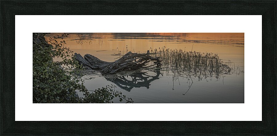 FS240723 PANO Picture Frame print