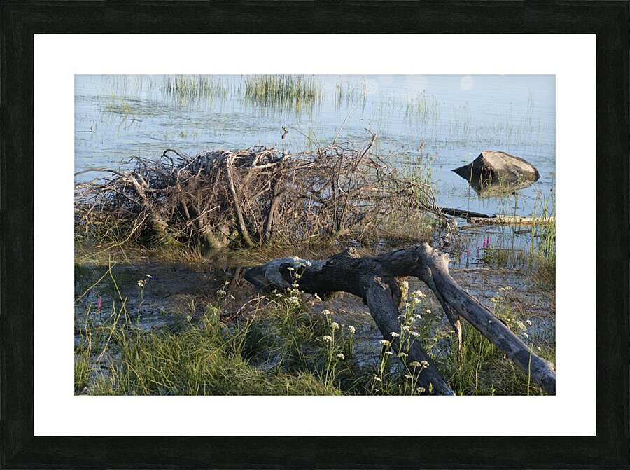 20240719 276 Picture Frame print