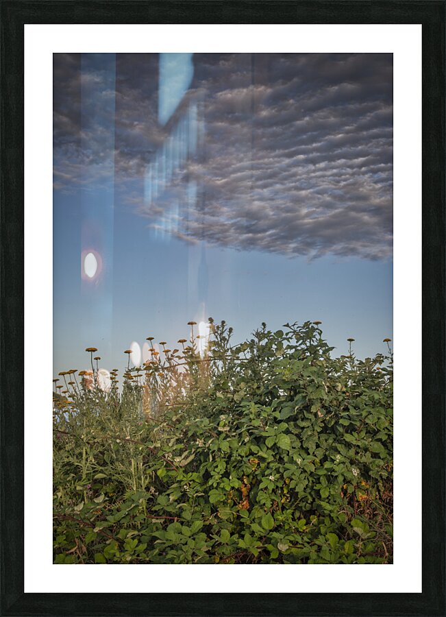 FS240702 Cloudscape Picture Frame print
