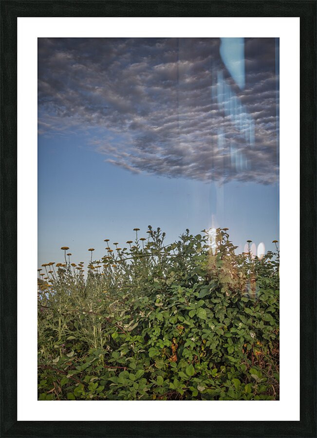 FS240702 Cloudscape Picture Frame print