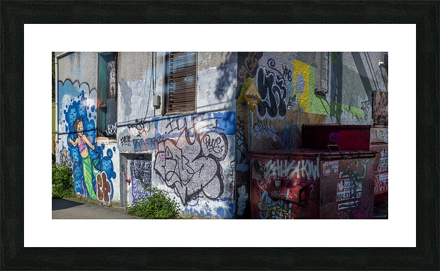 20240530 42 Edit Picture Frame print