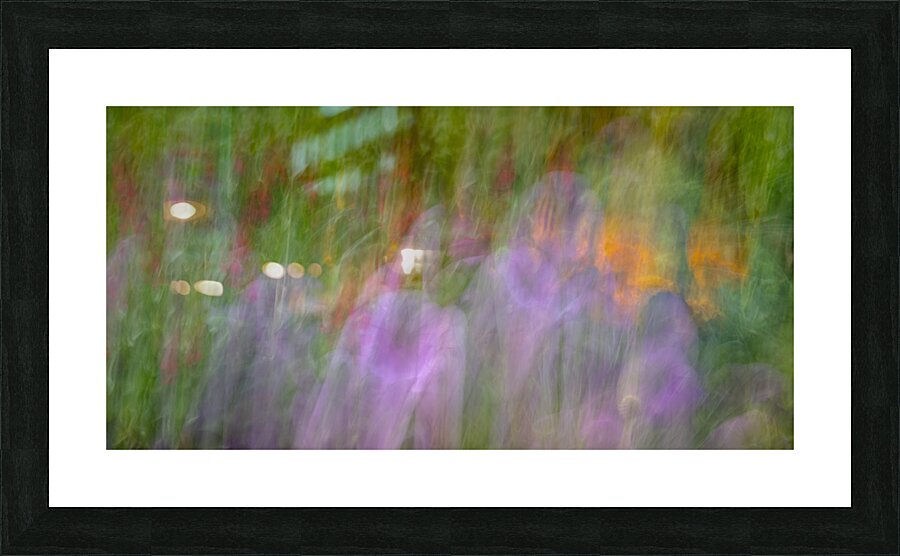 FS240816 FLOWER BED Picture Frame print