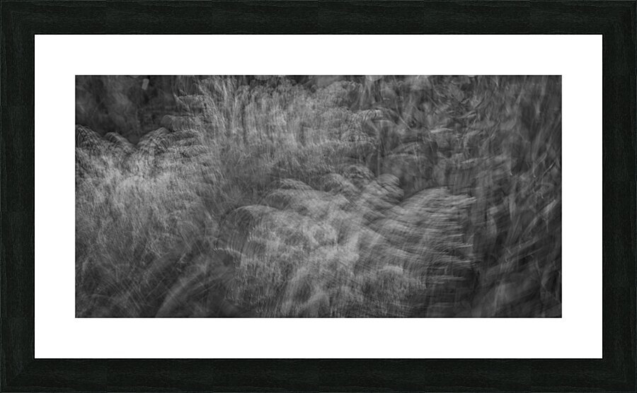 FS240816 WIND BLOWS Picture Frame print
