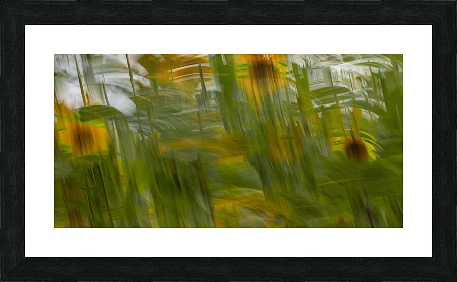 20240816 69 Picture Frame print