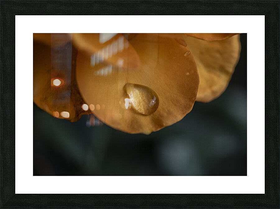 FS240818 RAINDROPS Picture Frame print