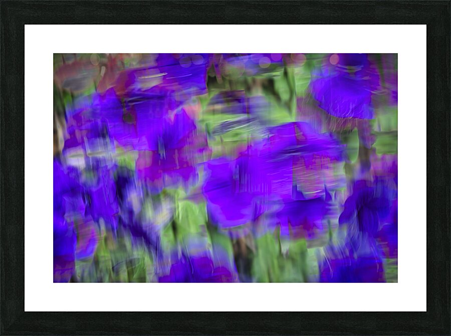 FLOWER BED 2024 Picture Frame print