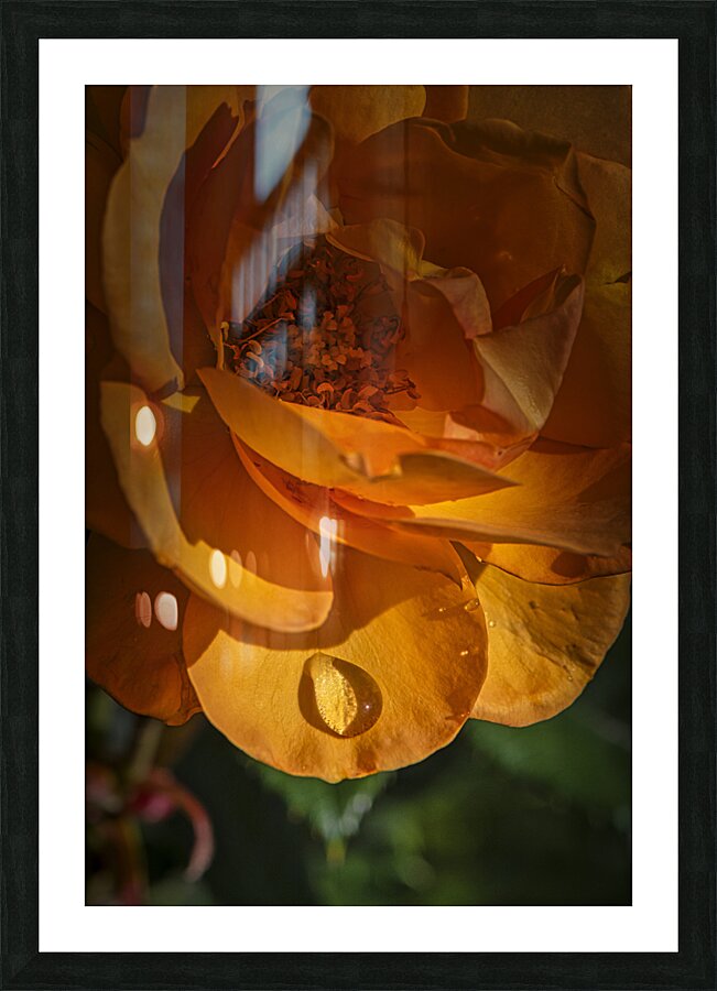 FS240818 waterdrop Picture Frame print
