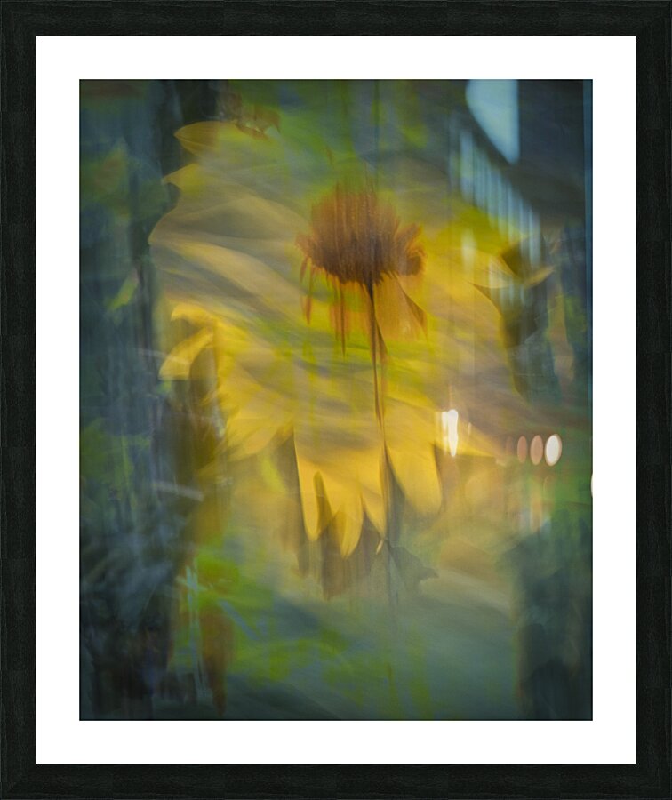 FS240818 04 Picture Frame print