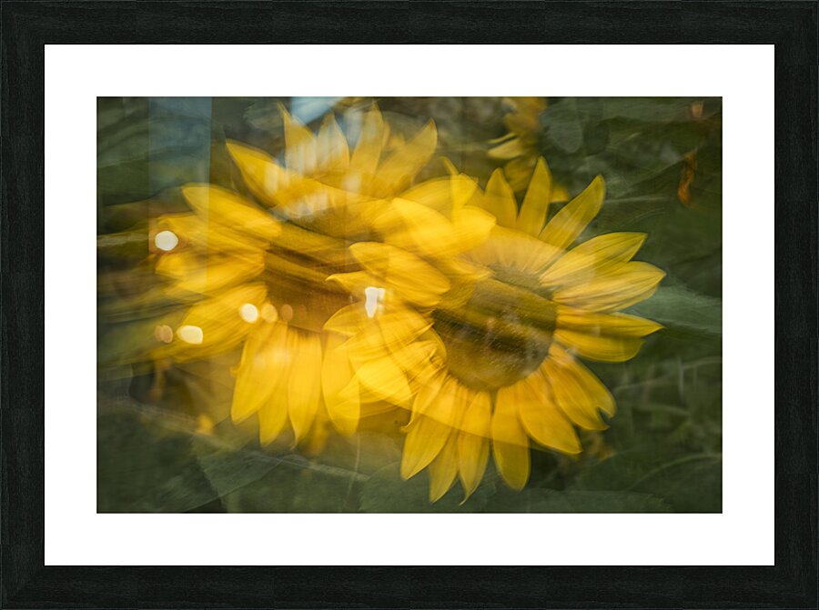 FS240818 06 Picture Frame print