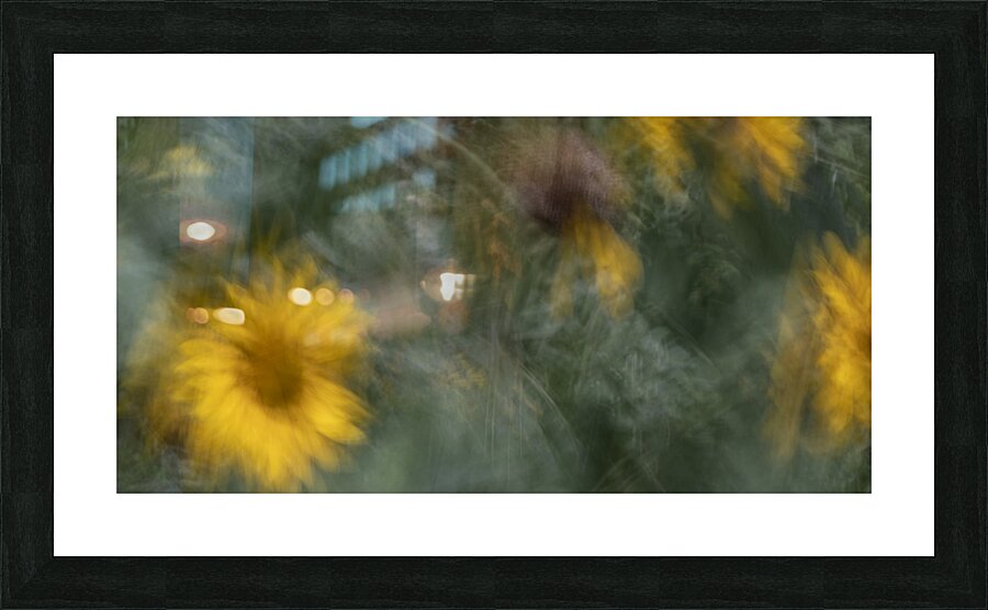 FS240818 439 Picture Frame print