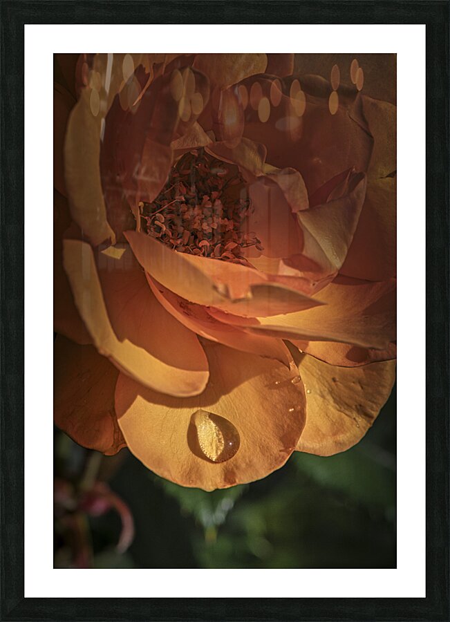 FS240818 waterdrop Picture Frame print
