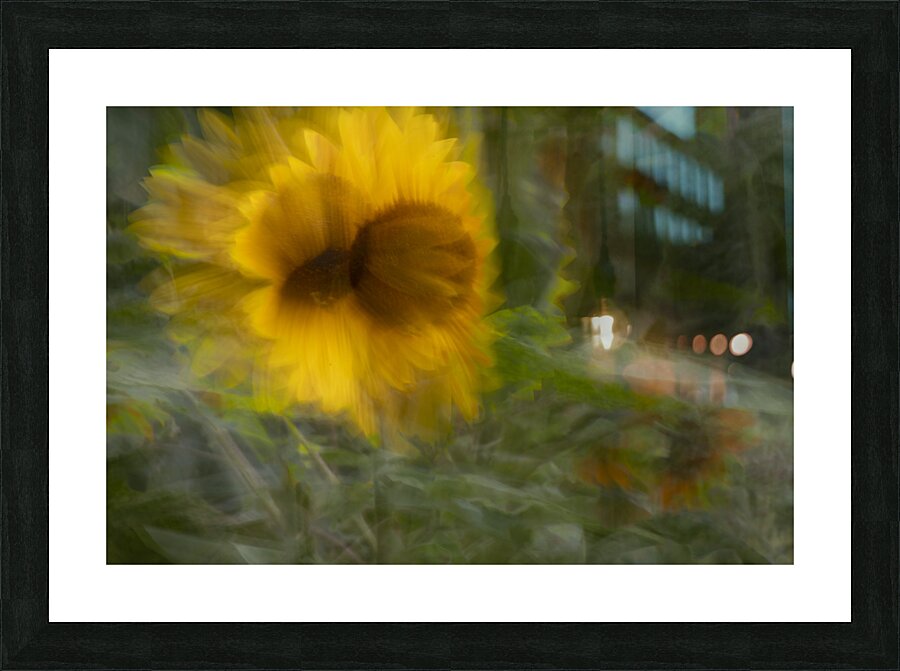 FS240818 442 Picture Frame print