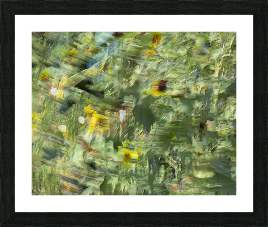 20240820 31 Picture Frame print