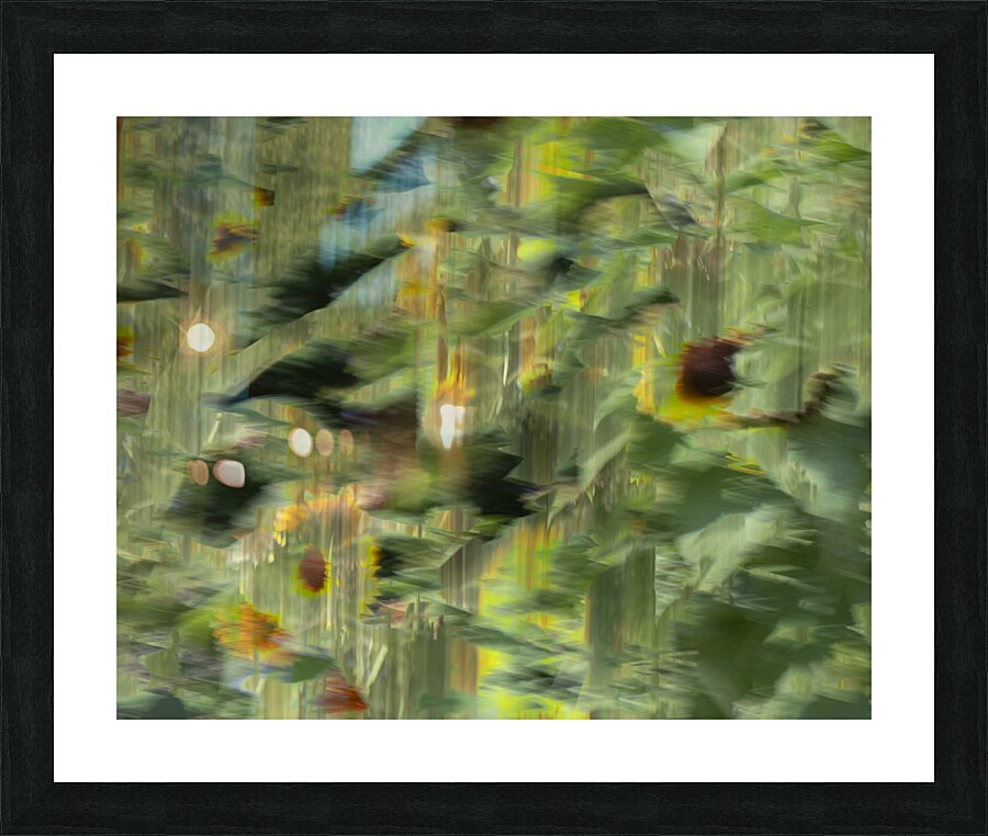 20240820 21 Picture Frame print