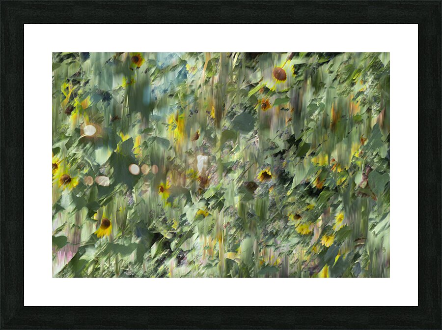 20240820 43 Picture Frame print