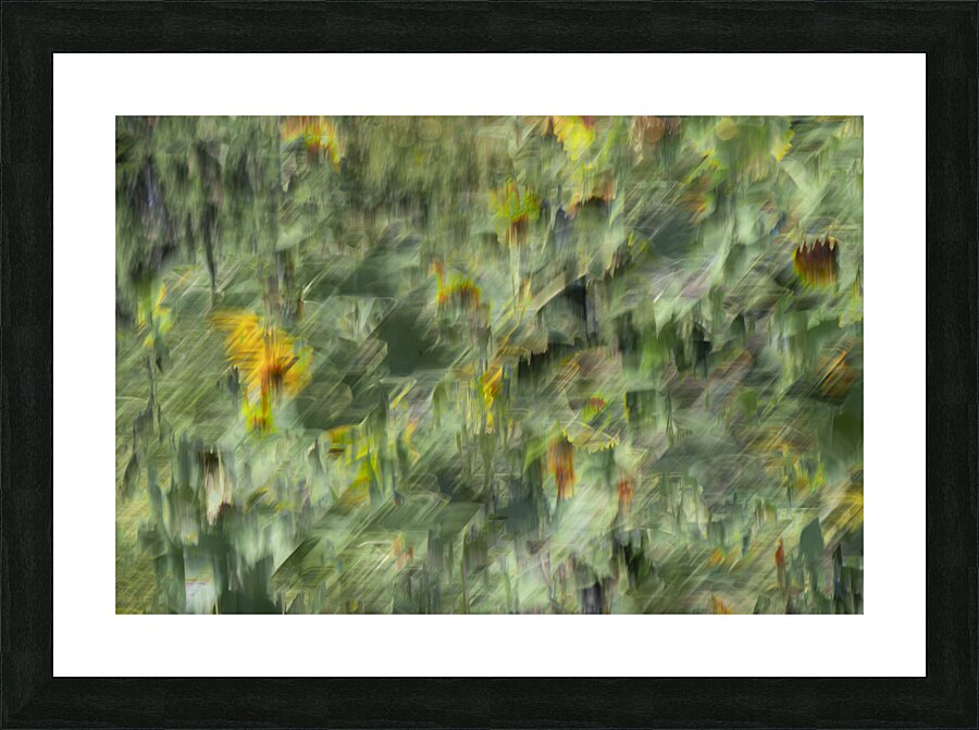 20240820 39 Picture Frame print