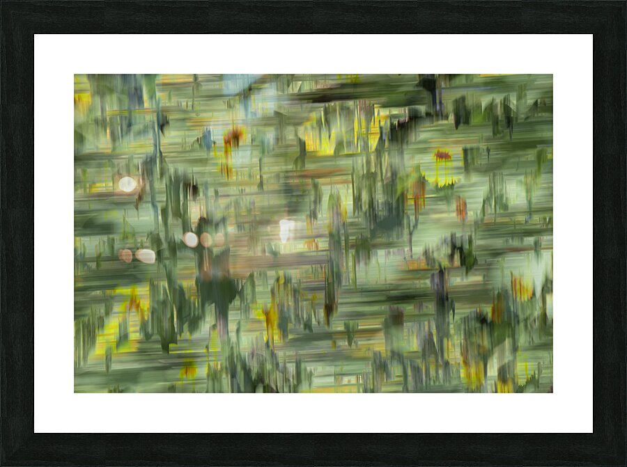 20240820 44 Picture Frame print