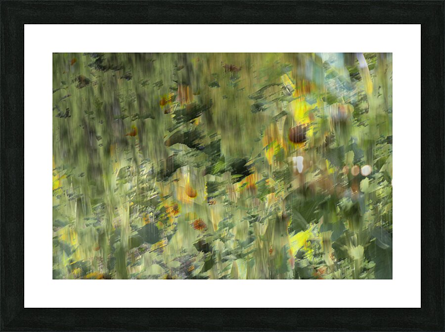 20240820 29 Picture Frame print