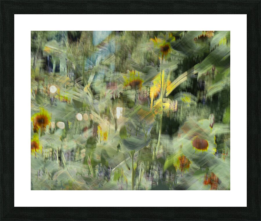 20240820 33 Picture Frame print