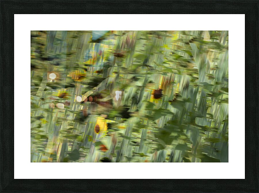 20240820 22 Picture Frame print