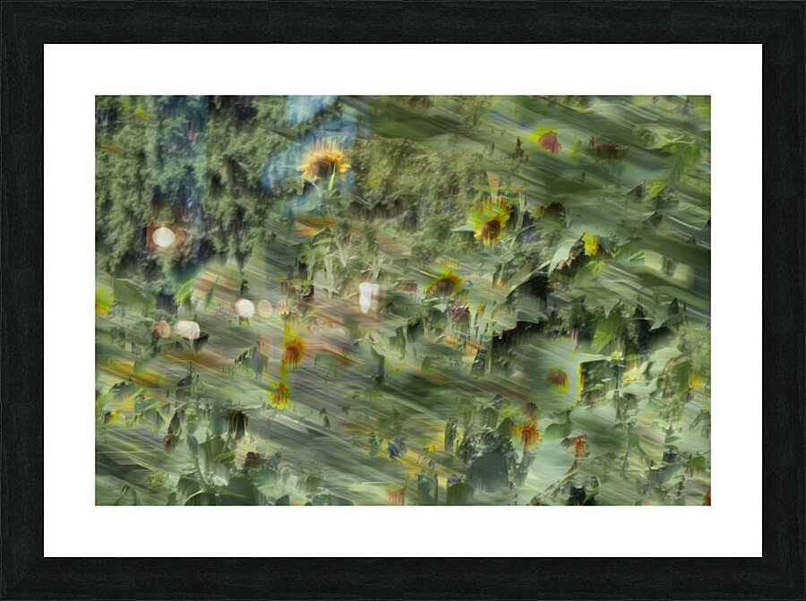 20240820 40 Picture Frame print