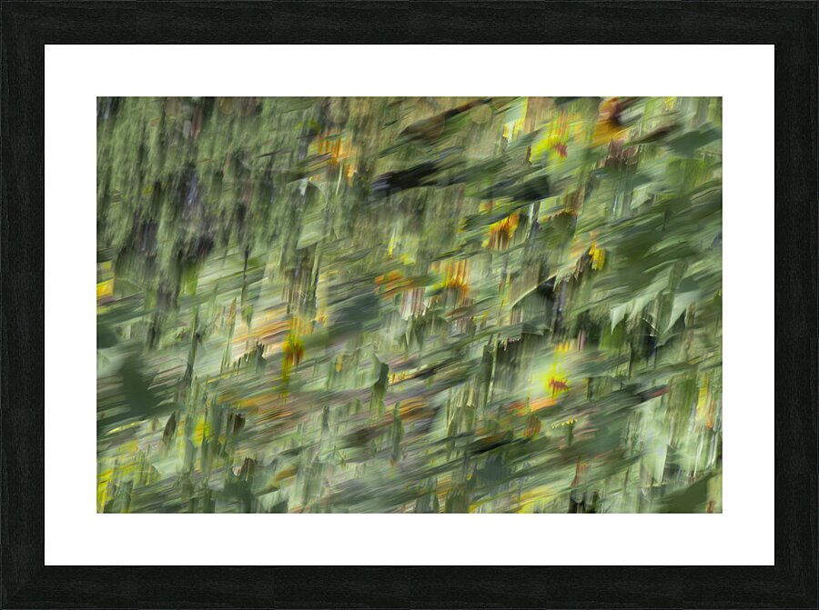 20240820 48 Picture Frame print