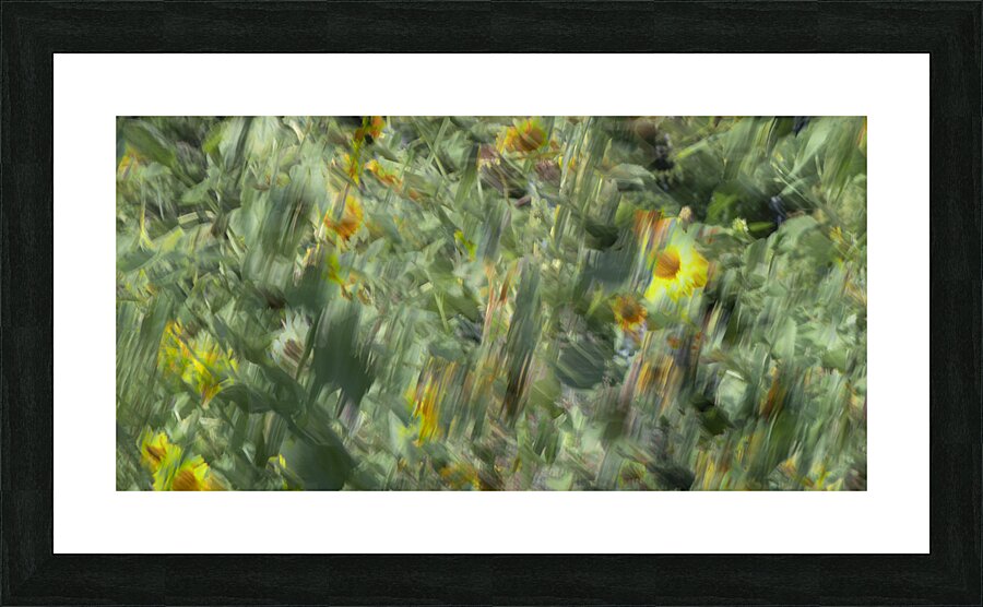 20240820 37 Picture Frame print