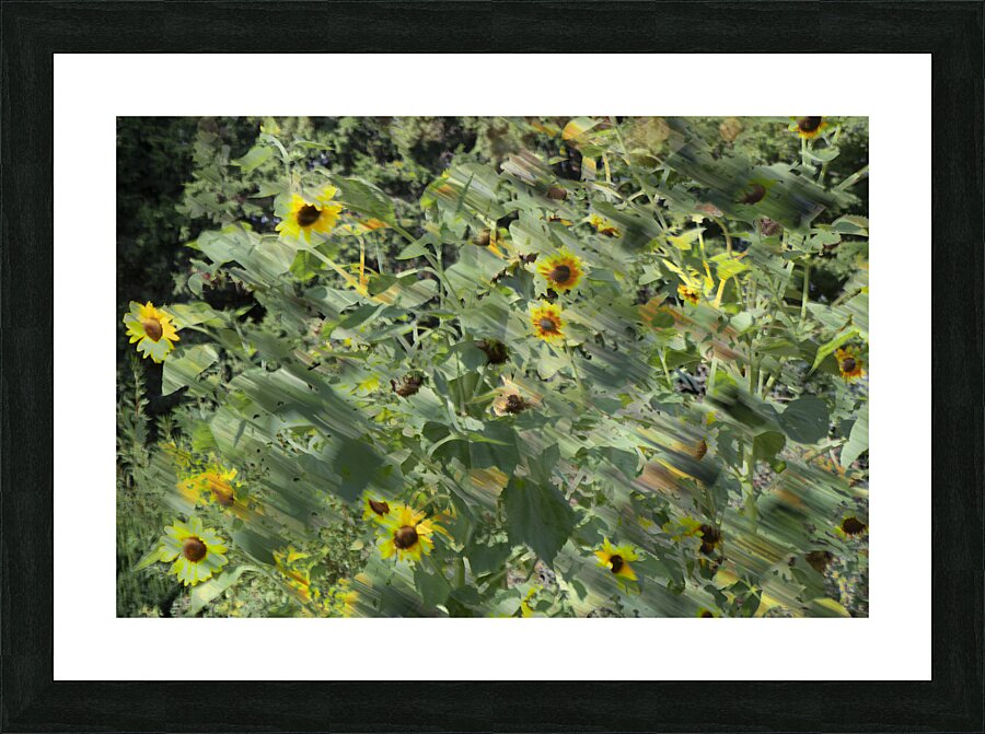 20240820 36 Picture Frame print