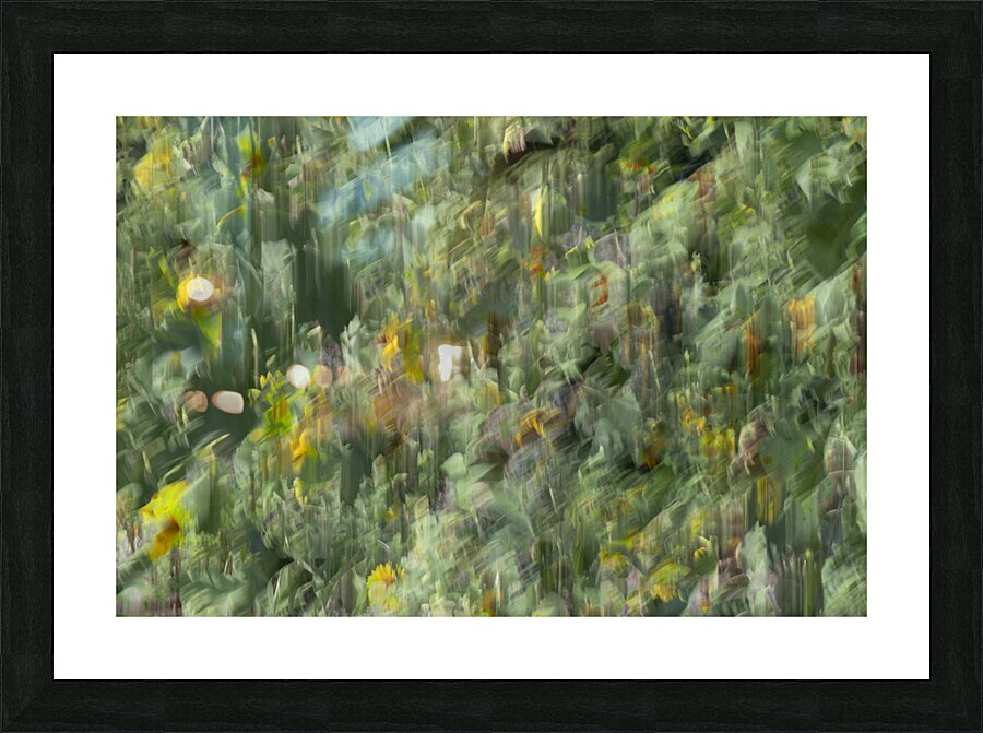 20240820 49 Picture Frame print