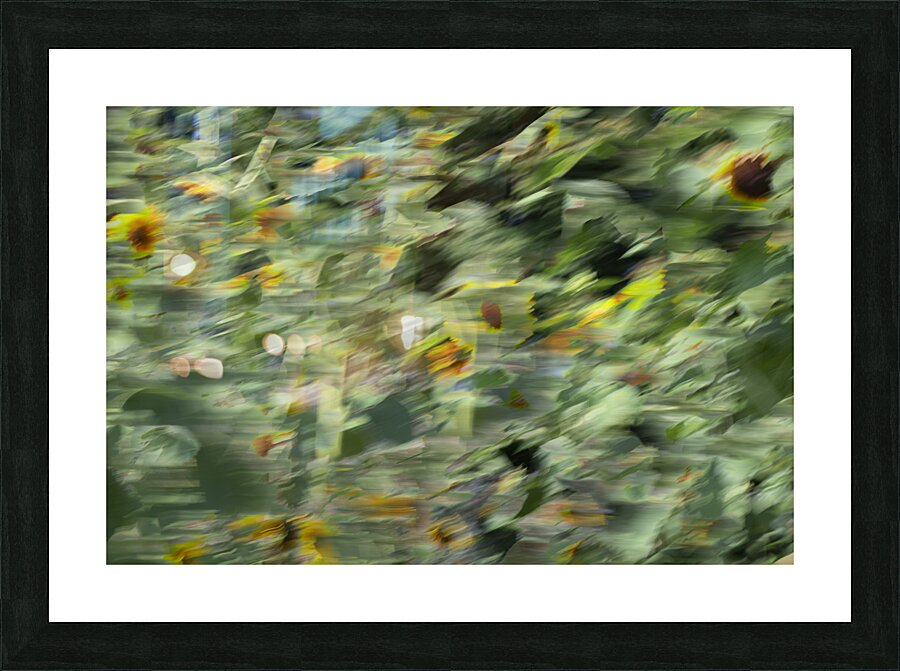 20240820 17 Picture Frame print