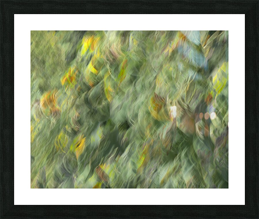 20240820 30 Picture Frame print