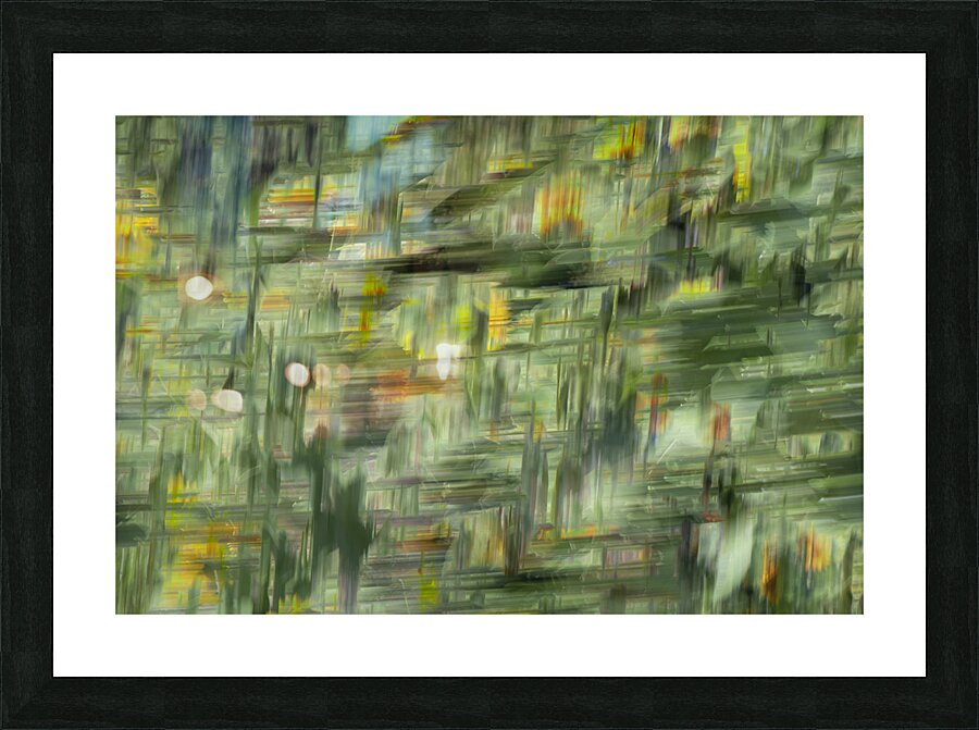 20240820 50 Picture Frame print