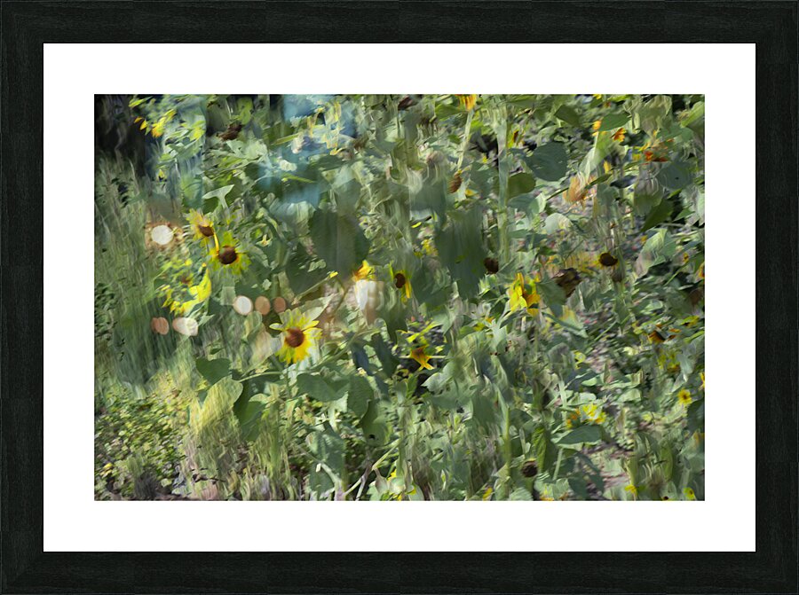 20240820 55 Picture Frame print