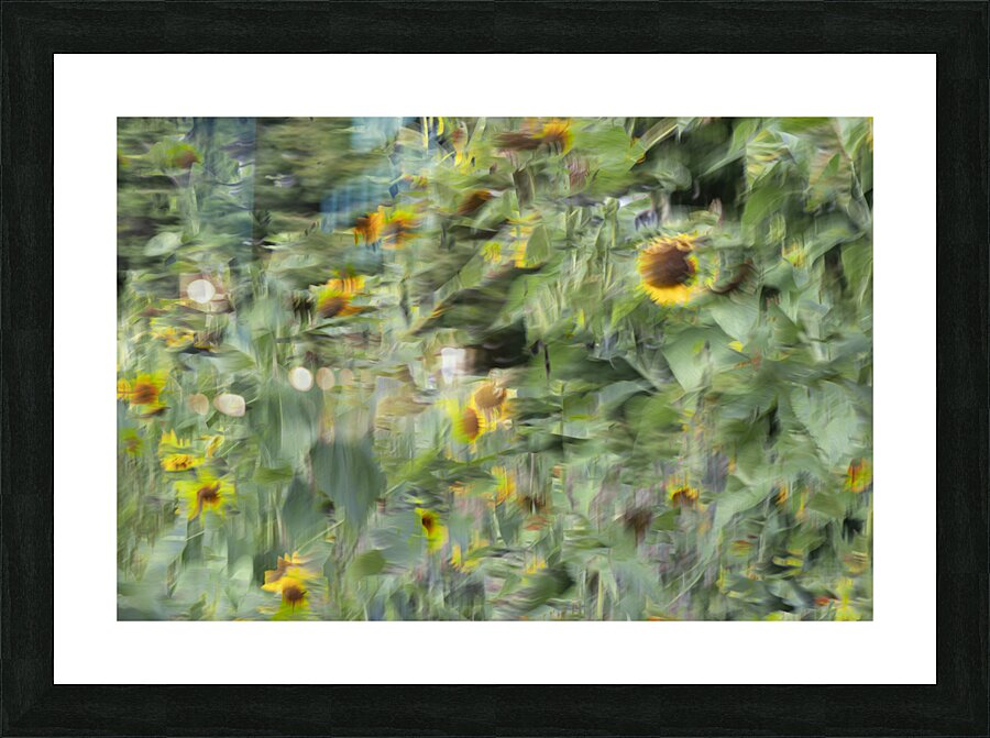 20240820 83 Picture Frame print