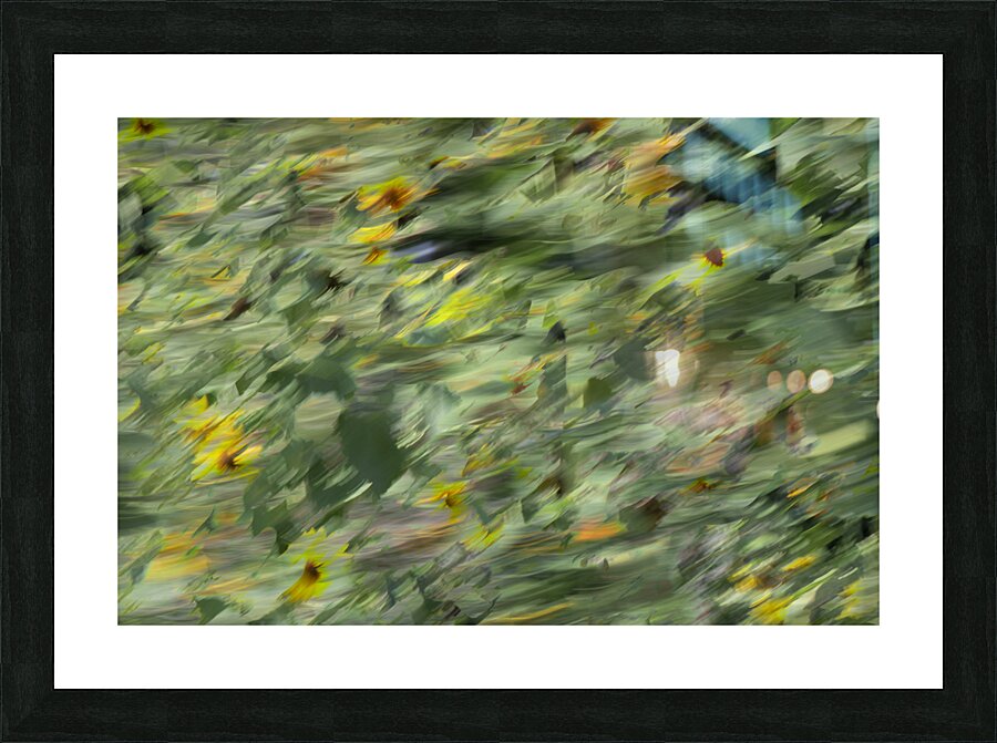 20240820 54 Picture Frame print