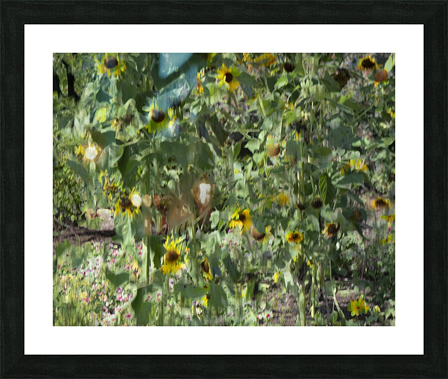 20240820 66 Picture Frame print