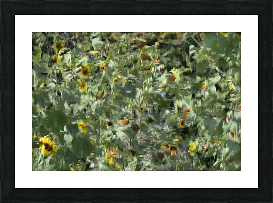 20240820 89 Picture Frame print