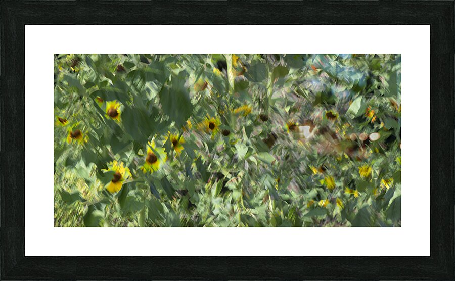 20240820 65 Picture Frame print