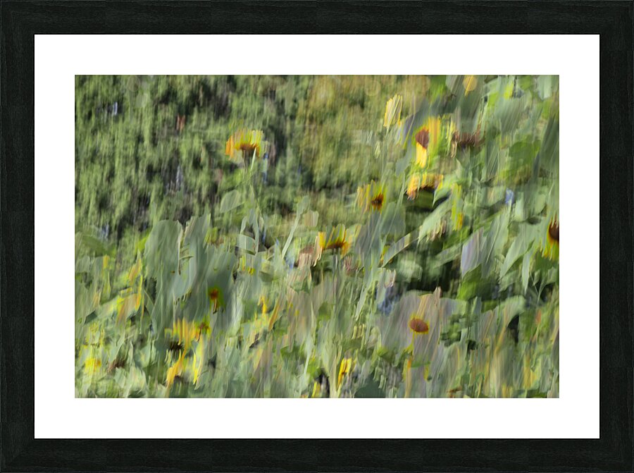 20240820 58 Picture Frame print
