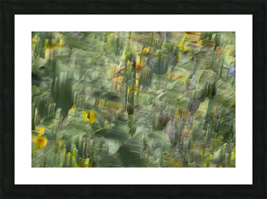 20240820 52 Picture Frame print