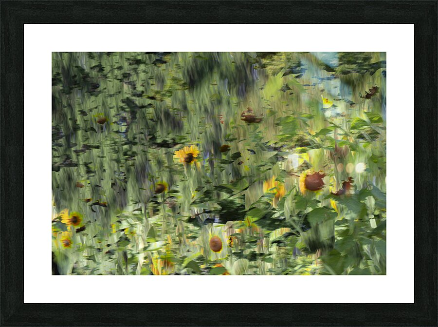 20240820 101 Picture Frame print